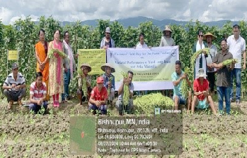 Yard Long Bean Variety ‘Arka Mangala’ Brings High Returns to Manipur Farmer