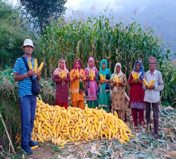 Empowering Chamba: ICAR-IIMR’s Interventions Drive Sustainable Maize Development in Tribal Villages