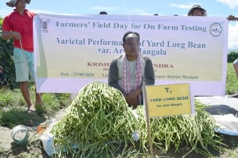 Yard Long Bean Variety ‘Arka Mangala’ Brings High Returns to Manipur Farmer