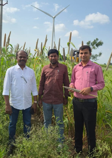 Satara Farmers Reap Success with Biofortified Pearl Millet for Nutrition and Livelihood Security