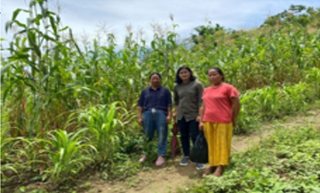 The Inspiring Journey of Gloria Sangtam in Natural Farming