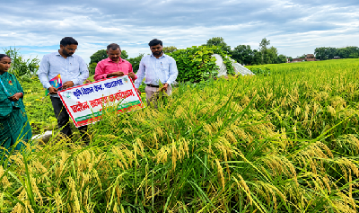 From Farm to Enterprise: How an Integrated Livelihood Model Empowered a Woman Farmer