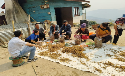 From Unemployment to Enterprise: Shengzii SHG’s Mushroom Cultivation Success Story