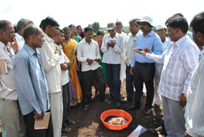 ss-DOGR-17-11-2017-1.png.