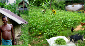 ss-icar-neh-29-07-2013-1