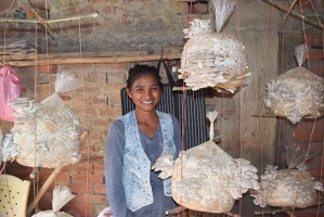 वाराणसी में महिला समूह द्वारा मशरूम उत्पादन की स्थिरता के लिए विपणन मॉडल के लिए एफपीओ आधारित प्रशिक्षण: भाकृअनुप-आईआईवीआर का एक प्रयोग