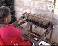 sucess-story-Quality-Seedlings3