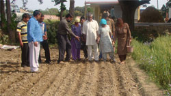 sucess-story-sugarcane-dehradun-2