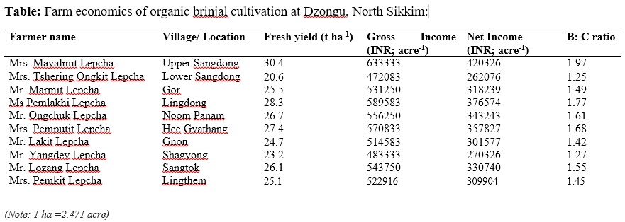 Organic Brinjal Cultivation Enhances Livelihoods of Tribal Lepcha Farmers in North Sikkim