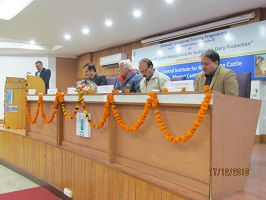 thumbnail-3-19122019