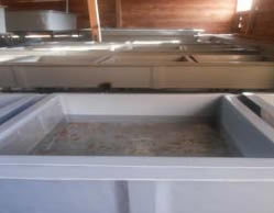 trout-farming-arunachal-pradesh-08-07-2015-4