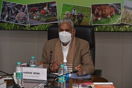 vc-dir-cf-2020-01 (1)