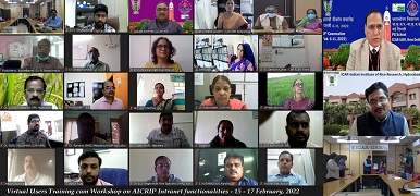 virtual-users-training-programme-01