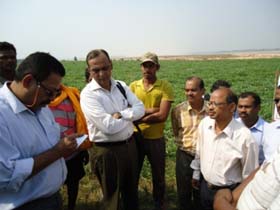 watermelon-0126032014