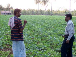 watermelon-27-04-2011