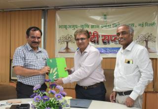  हिन्दी सप्ताह