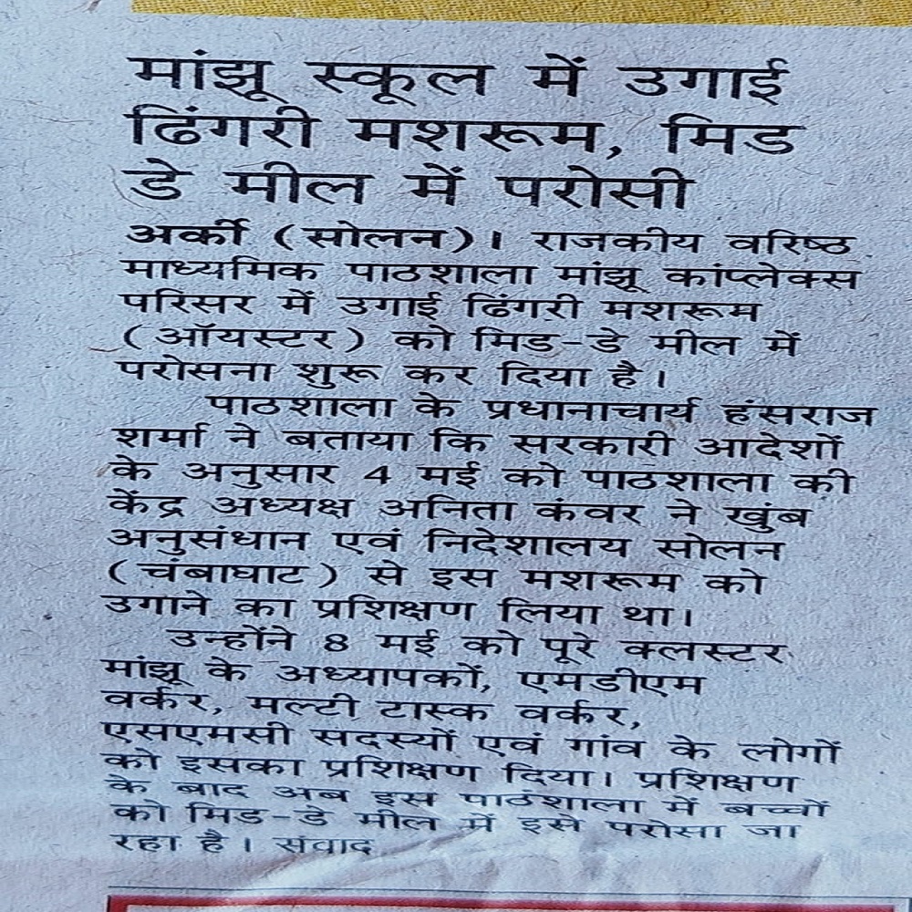 मांझू स्कूल में उगाई ढिंगरी मशरूम, मिड डे मील में परोसी