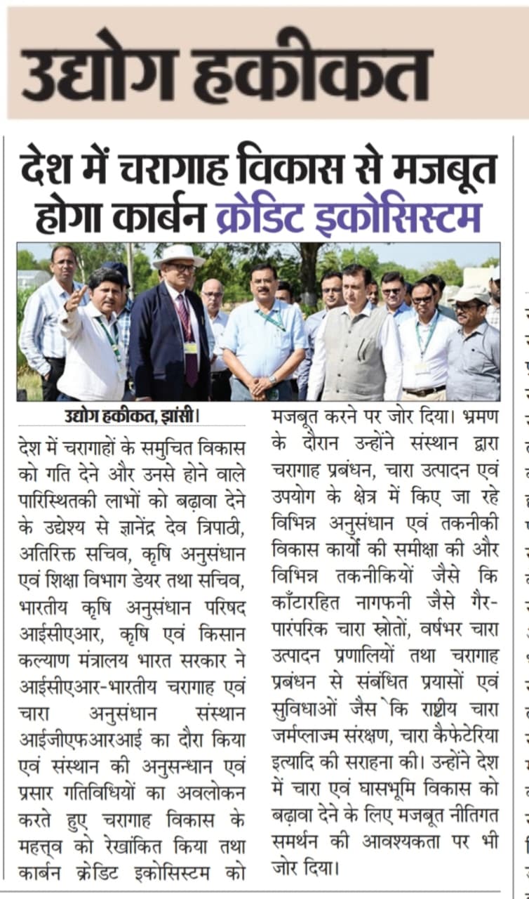 देश में चरागाह विकास से मजबूत होगा कार्बन क्रेडिट इकोसिस्टम