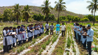 Report on Campaign for Balanced Use of Fertilizers under ICAR-ATARI Zone X, Hyderabad