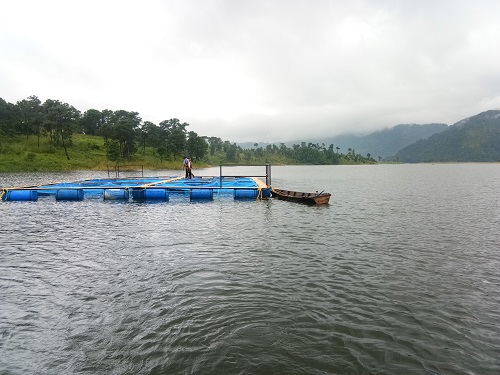 CIFRI_GI_Cages_in_Umiam_reservoir_0.jpg