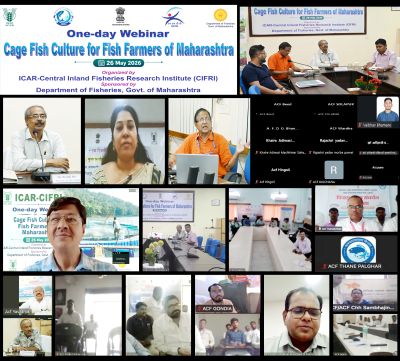 ICAR-CIFRI, Barrackpore Champions Cage Fish Culture in Maharashtra through National Webinar