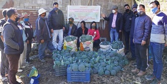 Integrated Nutrient Management in Broccoli coupled with Gravity-based Mini Sprinkler System in Mizoram 04_0_1.jpg