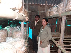 Mushroomhouse-012020_0.jpg 