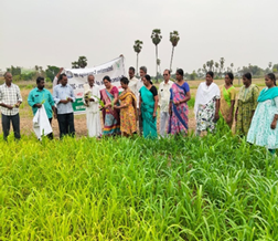 Report on Campaign for Balanced Use of Fertilizers under ICAR-ATARI Zone X, Hyderabad
