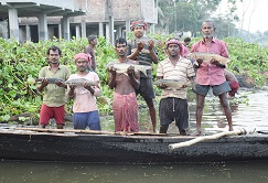 beledanga-bheel-4s_0.jpg