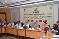 bricks-28-08-2012-1