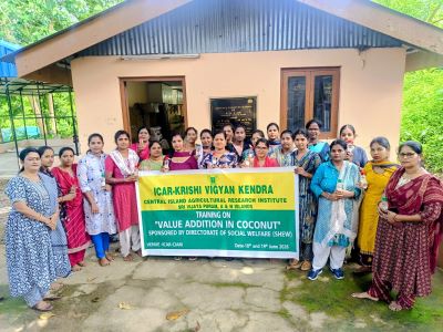 Training on Value Addition in Coconut and Virgin Coconut Oil (VCO) Production Concludes at KVK South Andaman