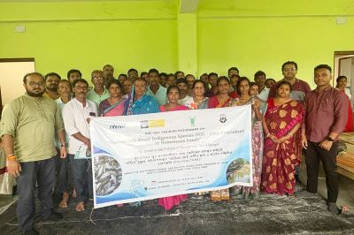 ICAR-CIFRI, IWMI and LRRM Empower Sundarban Fishers through Sustainable SIS–Carp Polyculture to Boost Livelihoods and Nutritional Security