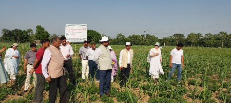 DG, ICAR Reviews On-Farm Intercropping Demonstrations and Interacts with Farmers and Scientists at ICAR-IIFSR, Modipuram