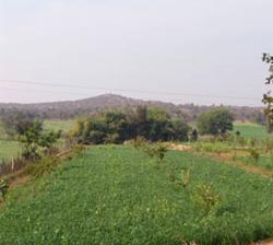 dhani-ram-1