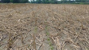 happyseeder-02-13112020_0.jpg