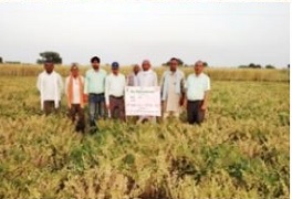 kvk-hamirpur-01-22092020_0.jpg 