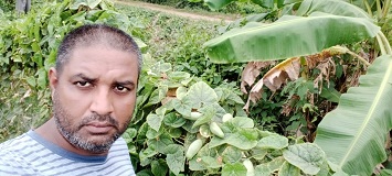 parwal-11-19102020_0.jpg